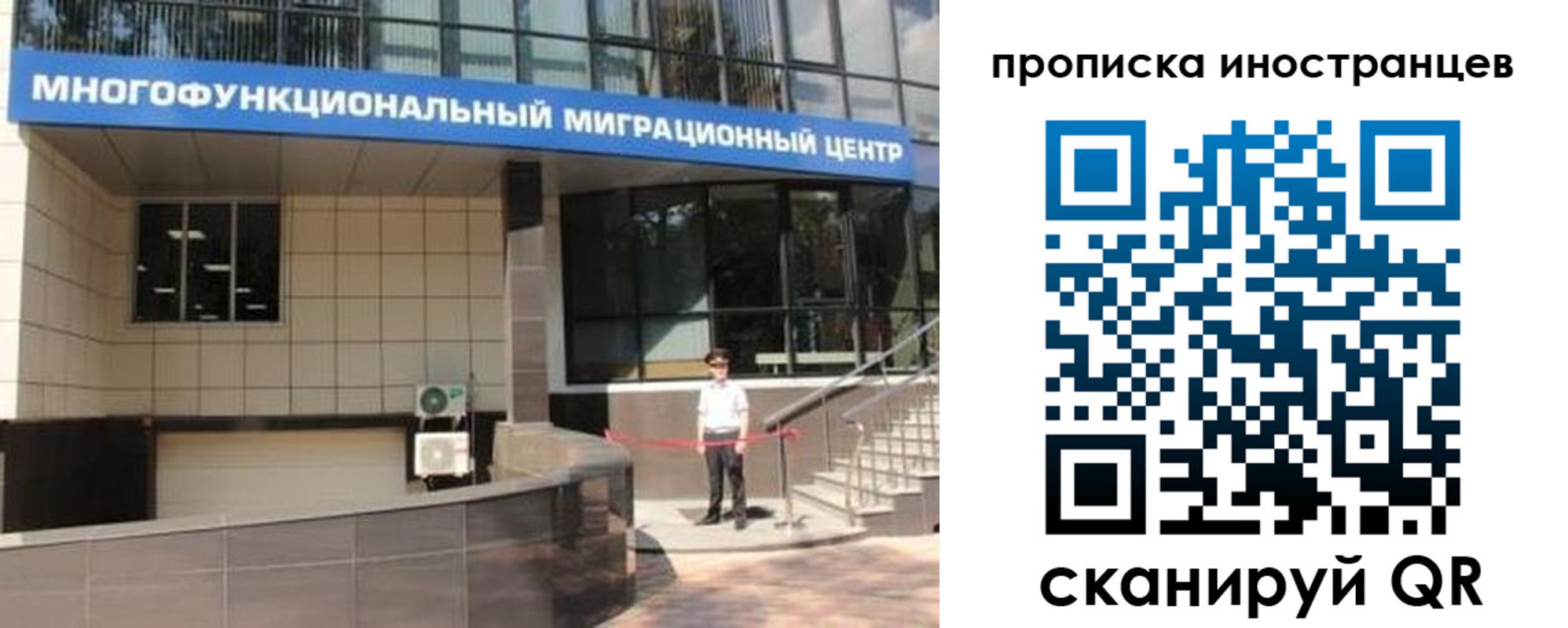 прописка поиск в Похвистнево
